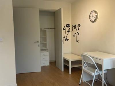Picture 7
